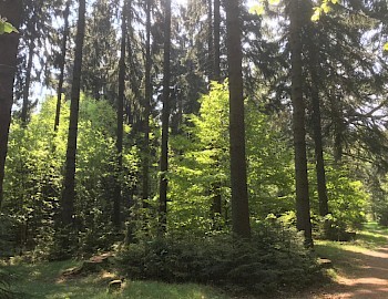 Frau auf Fahrrad in der Natur