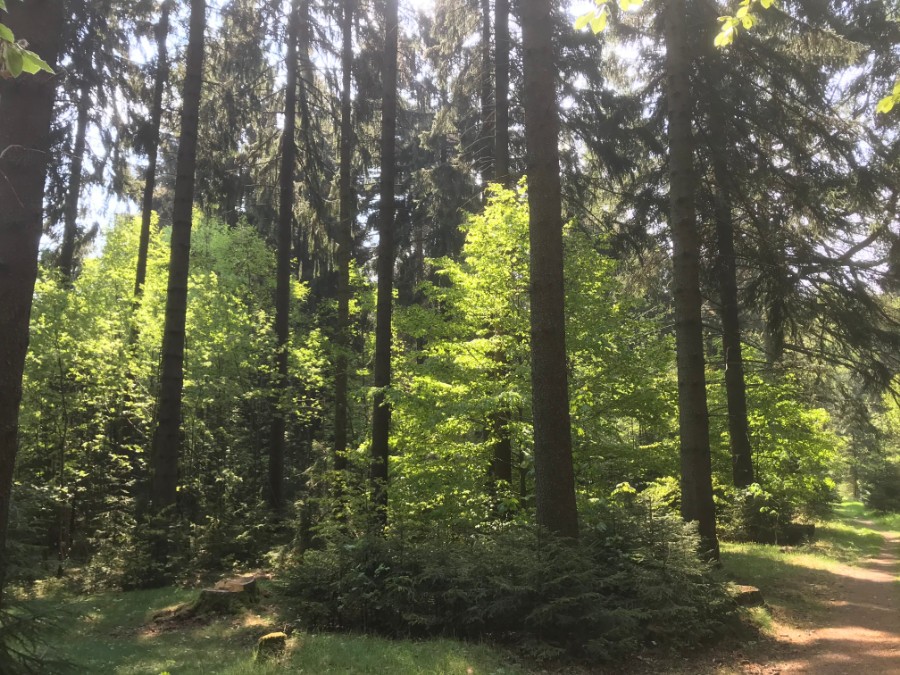 Frau auf Fahrrad in der Natur